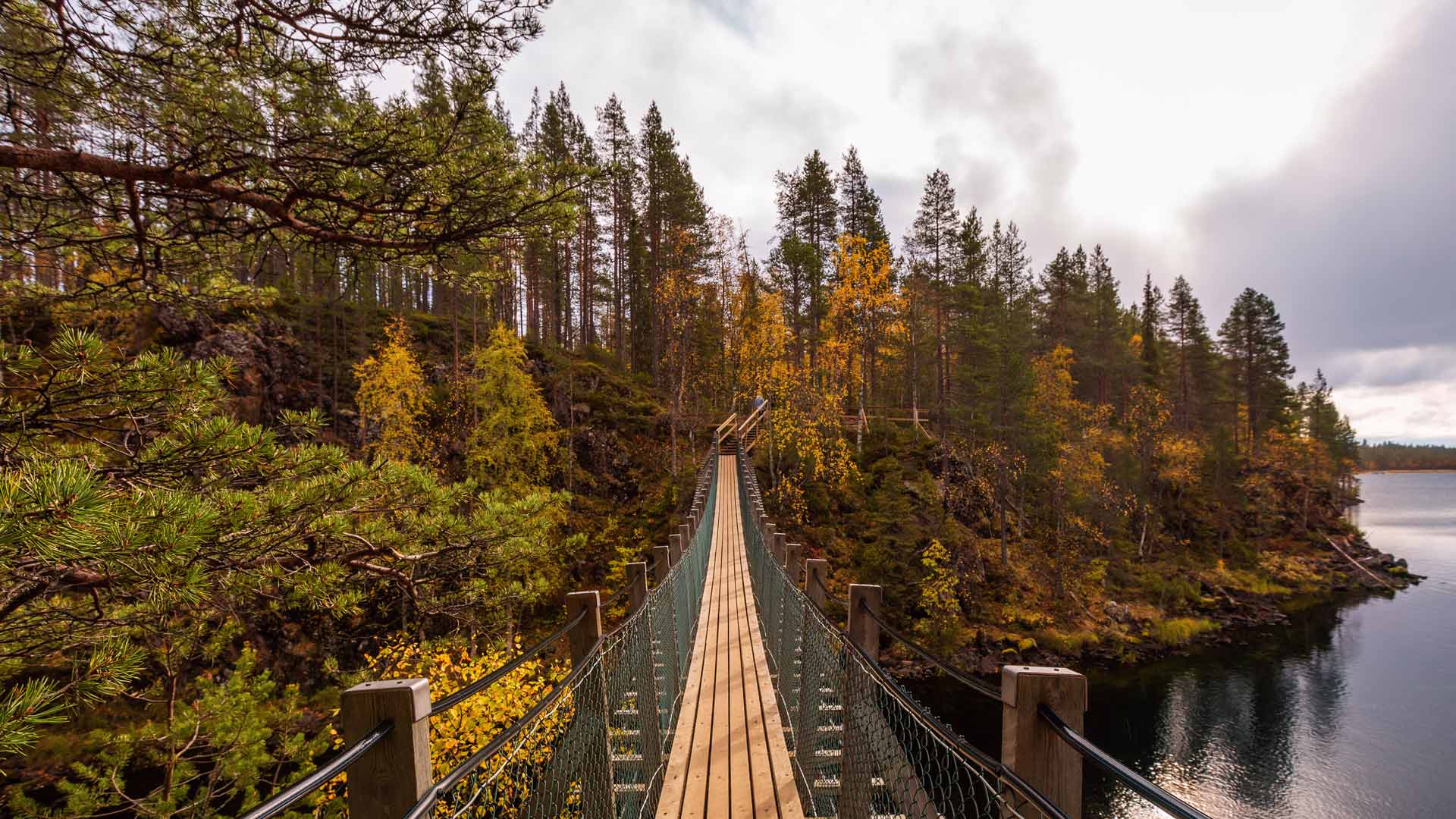Hae apurahaa tai avustusta Säästöpankki Optian säätiöltä thumbnail