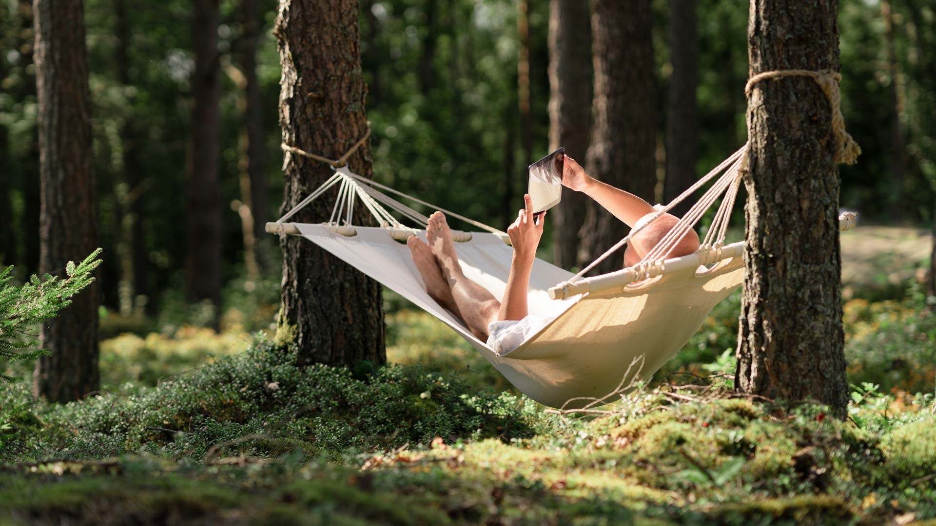 Mitä säästöpankkiaate tarkoittaa? thumbnail